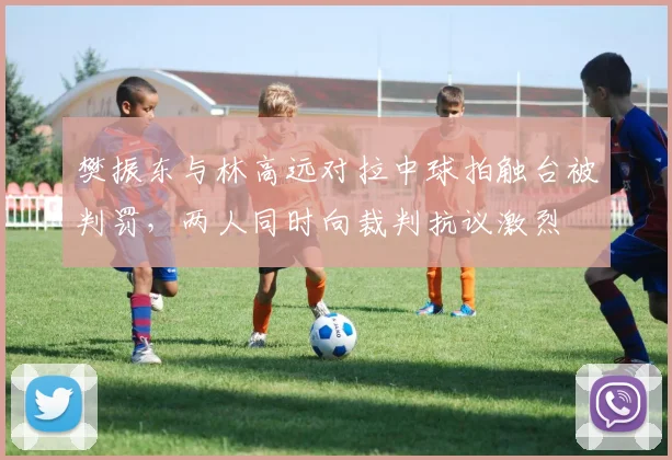 樊振东与林高远对拉中球拍触台被判罚，两人同时向裁判抗议激烈